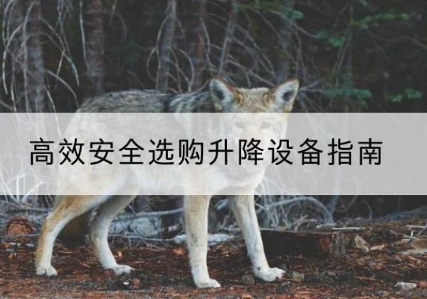 周村升降货梯厂家推荐-*安全选购升降设备指南