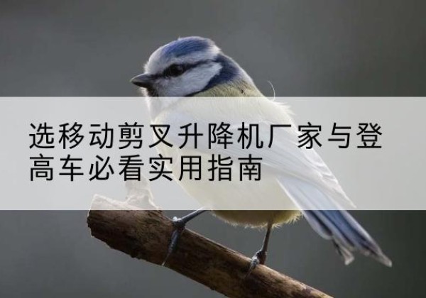 周村电动升降机厂家-选移动剪叉升降机厂家与登高车必看实用指南