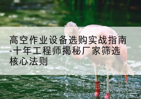 周村剪叉式升降机厂家-高空作业设备选购实战指南-十年工程师揭秘厂家筛选核心法则